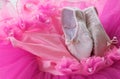 Tutu and ballet shoes Royalty Free Stock Photo