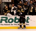 Tuukka Rask and Benoit Pouliot Boston Bruins Royalty Free Stock Photo