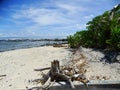 Tuvalu, Funafuti Atoll, the beach