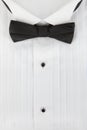 Tuxedo shirt and bowtie close up