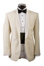 Tuxedo, white shirt and black bow tie Royalty Free Stock Photo