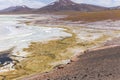 Tuyajto Lagoon in the Atacama Desert, Chile, South America Royalty Free Stock Photo