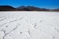 Tuyajto Lagoon and salt flat in Atacama Desert, Chile Royalty Free Stock Photo