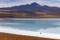 Tuyajto Salt Flats and Lagoon in the Atacama Desert - Chile Royalty Free Stock Photo