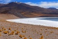 Tuyajto Salt Flats and Lagoon in the Atacama Desert - Chile Royalty Free Stock Photo