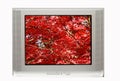 TV and Autumn Display Royalty Free Stock Photo