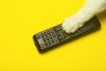 TV remote control with a cat`s paw on a yellow background. Cinema, entertainment, TV concept Royalty Free Stock Photo