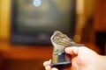 TV remote control in hand and bird Royalty Free Stock Photo