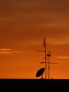 TV satellite dish and antennas on a house roof at sunset Royalty Free Stock Photo