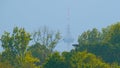 TV tower and green spring trees in the fog