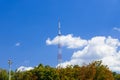 TV tower local infrastructure communication object high metal construction building above green foliage park district clear