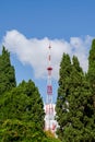 TV tower. Repeater. Green cypress Royalty Free Stock Photo