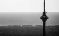 Tv tower view black and white Royalty Free Stock Photo