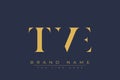 TVE abstract letter logo design Royalty Free Stock Photo