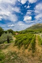 Tvrdos monastery in Bosnia and Herzegovina