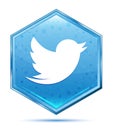 Tweet bird icon crystal blue hexagon button