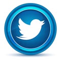 Tweet bird icon eyeball blue round button