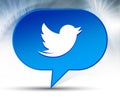 Tweet bird icon blue bubble background