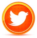 Tweet bird icon natural orange round button