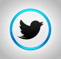 Tweet bird icon round blue push button