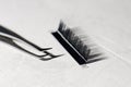 Tweezers, using for isolating lashes, lying near palette of artificial eyelashes on table with cast shandows of tools. Royalty Free Stock Photo