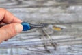 Tweezers, small hand tools used for grasping objects too small to be easily handled with the human fingers, thumb-driven forceps Royalty Free Stock Photo