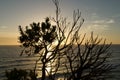 Twelve Apostles sunset. Scenic lookout in The Great Ocean Road. Royalty Free Stock Photo