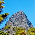 Twelve Apostles at Table Mountain in Cape Town against a blue sky background from below. Breathtaking view of plants and Royalty Free Stock Photo