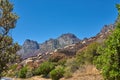 Twelve Apostles at Table Mountain in Cape Town against a blue sky background with copy space. Beautiful view of plants Royalty Free Stock Photo