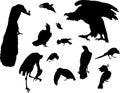 Twelve bird silhouettes Royalty Free Stock Photo