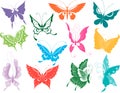 Twelve butterflies