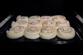 Twelve cinnamon buns baking in electric oven: front view