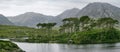 Twelve Pines Island on a gorgeous background formed by the sharp peaks of a mountain range called Twelve Pins or Twelve Bens,