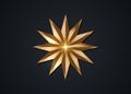 Twelve pointed star, golden luxury compass rose icon. Clipart image isolated on black background