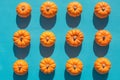 Twelve pumpkins on blue background