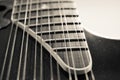 12 string acoustic guitar black and white Royalty Free Stock Photo