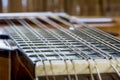 Twelve string metallic bandurria