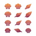 Twelve stylized shell icons arranged in a 3x4 grid. The designs include various shell Royalty Free Stock Photo