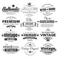 Twelve Vintage Insignias Or Labels Royalty Free Stock Photo
