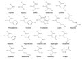 Twenty basic amino acids. 2D Illustration