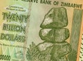 Twenty Billion Dollars - Zimbabwe