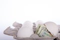 Twenty dollar note hatching from white egg Royalty Free Stock Photo