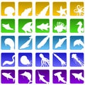 Twenty five sealife icons Royalty Free Stock Photo