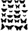 Twenty four butterfly silh