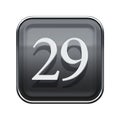 Twenty nine icon grey glossy.