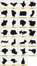 Twenty seven black maps of the Subdivisions of Brazil