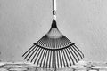 Twenty Tine Metal Leaf Rake