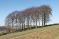 Twenty Trees at Hayfield in the Peak District National Park Royalty Free Stock Photo