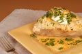 A twice baked potato with scallions, cheese and sour cream Royalty Free Stock Photo