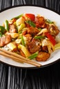 Twice cooked pork or double cooked pork is a Chinese dish include pork and stir-fried vegetables closeup in the plate. Vertical